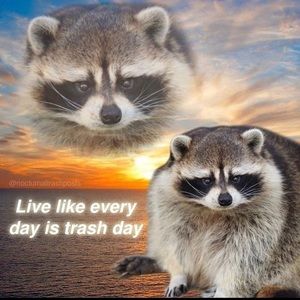 Meet your Posher, Patrick